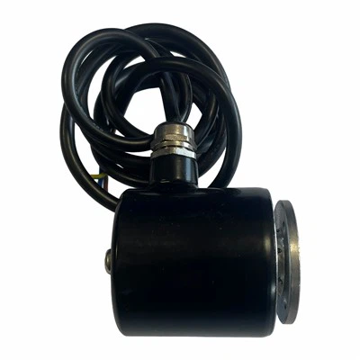 Explosion Proof Electromagnet